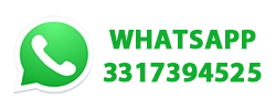 WhatsApp 3317394525